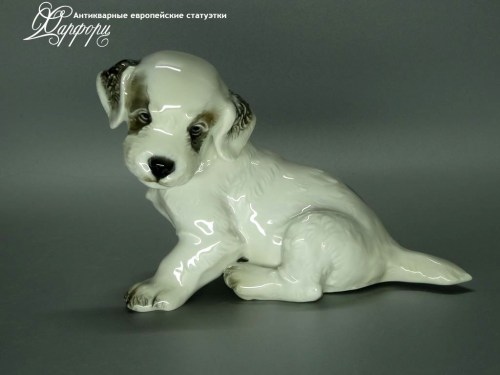 Купить фарфоровую статуэтку Rosenthal Щенок терьера